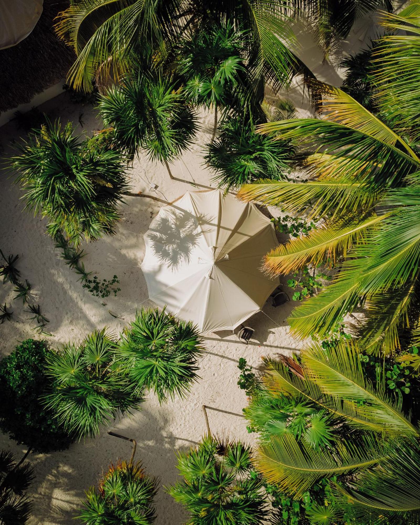 Hotel Cielo Y Selva Punta Allen Exterior photo