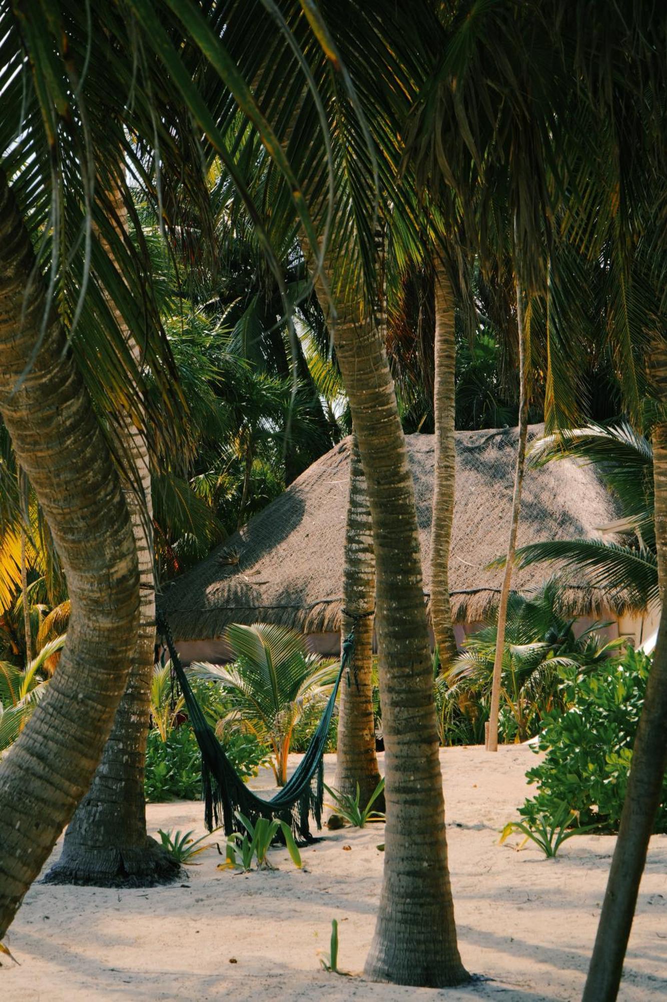 Hotel Cielo Y Selva Punta Allen Exterior photo