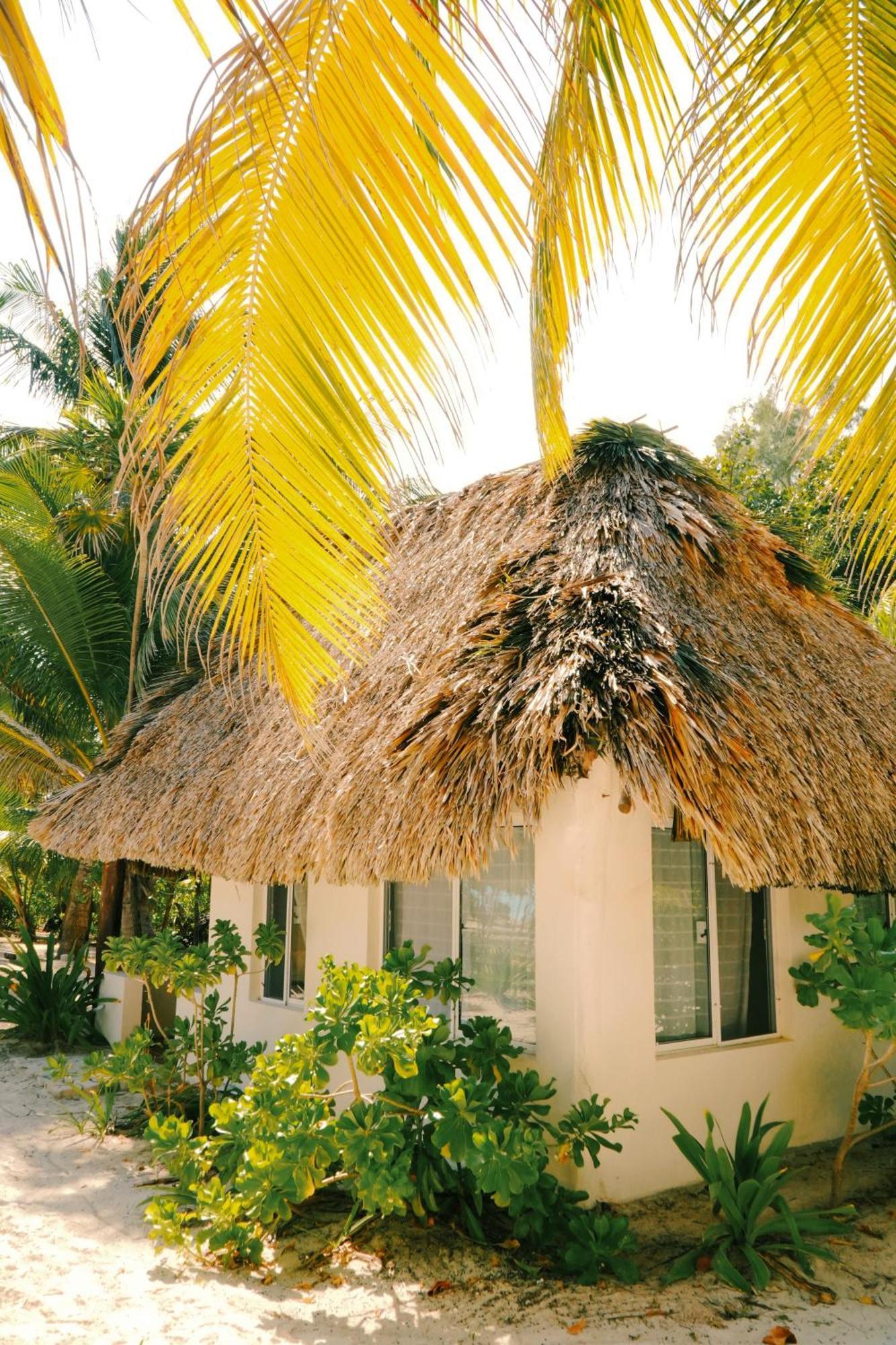 Hotel Cielo Y Selva Punta Allen Exterior photo